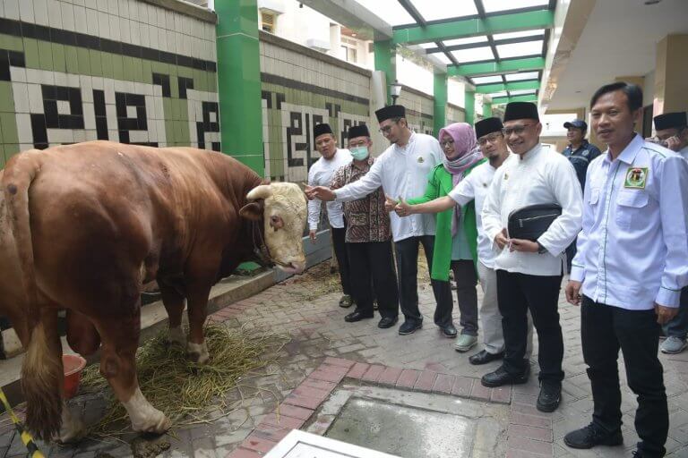 PPP Bagikan Hewan Kurban Melalui Sejumlah Ormas Islam