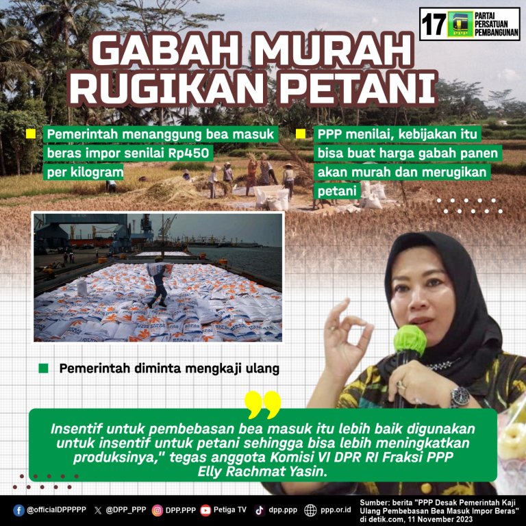 Legislator PPP Minta Pemerintah Kaji Ulang Pembebasan Bea Masuk Impor Beras